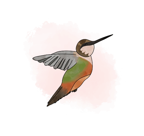 bird